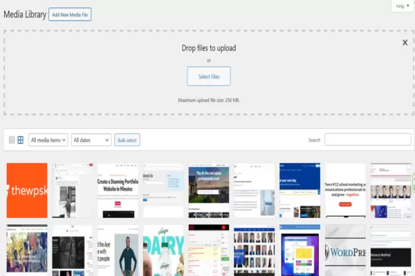 Media Files Media Files