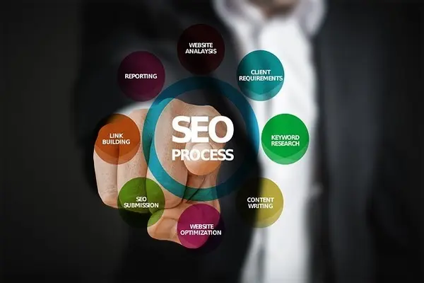 The WordPress SEO